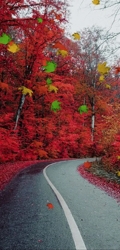 Winding road through vibrant red autumn forest scene.