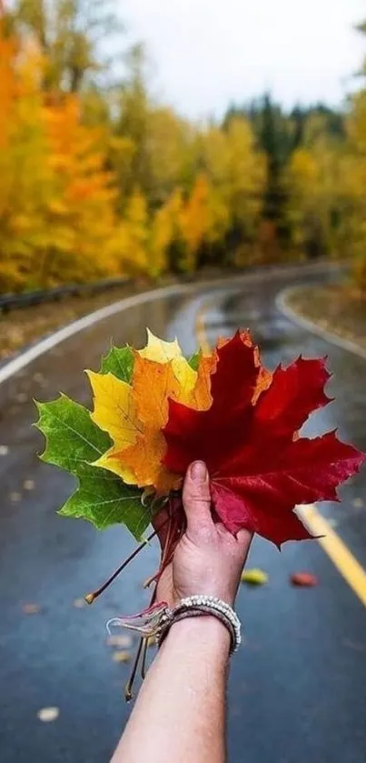 Hand holding colorful autumn leaves on a winding road.