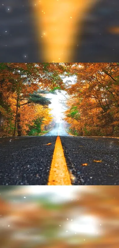 Scenic autumn road with orange foliage for mobile wallpaper.