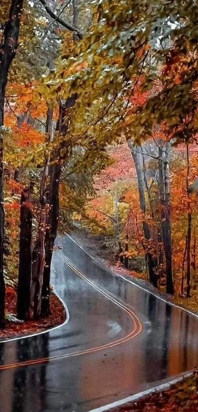 Scenic autumn road with colorful leaves and trees.