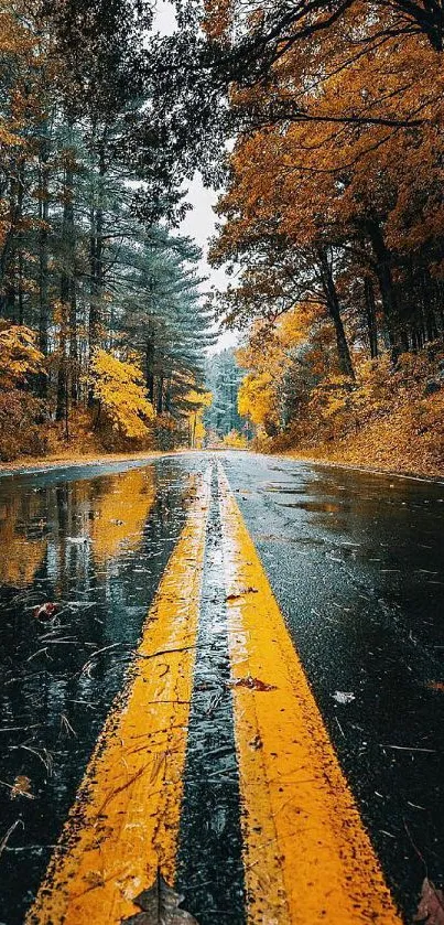 Reflective autumn road lined with vibrant orange trees.