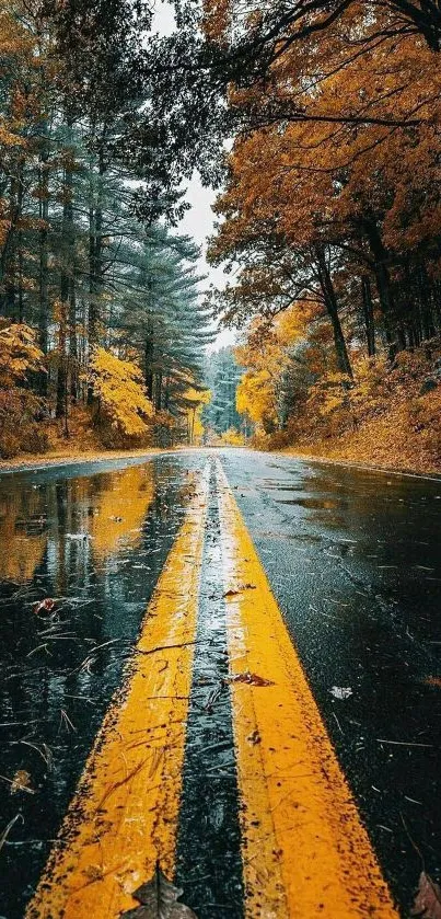 Vibrant autumn forest reflecting on wet road.