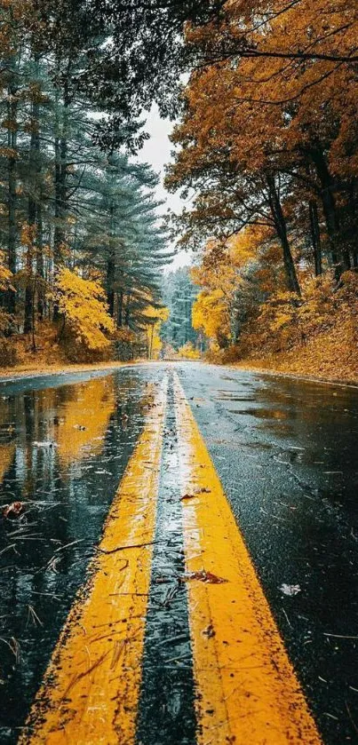 Autumn road with orange leaves reflecting on wet pavement.