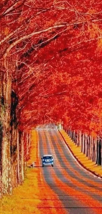 Scenic autumn road with vibrant red trees and a peaceful pathway.