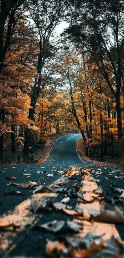 Autumn road with vibrant orange trees and fallen leaves on a scenic path.