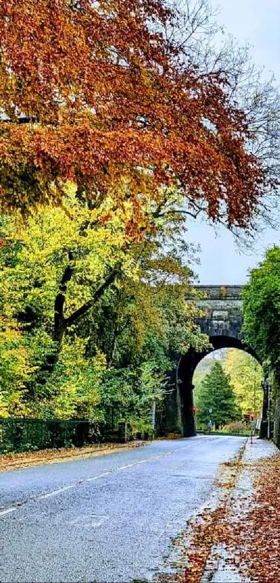 Autumn road with bridge framed by colorful leaves.