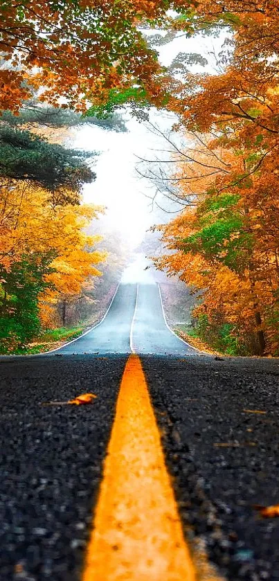 Autumn road with vibrant orange foliage canopying the path.