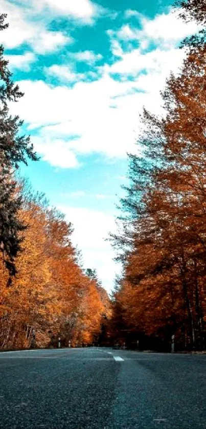 Scenic autumn road with orange trees and cloudy sky.