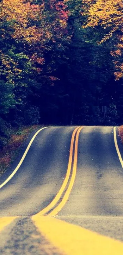 Scenic autumn road with vibrant fall foliage on a mobile wallpaper.