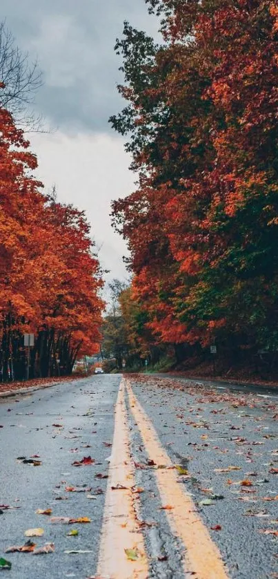 Scenic road with vibrant autumn leaves lining the street under a moody sky.