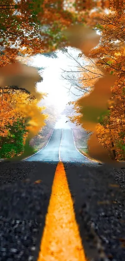 Autumn road with vibrant foliage and clear blue sky.