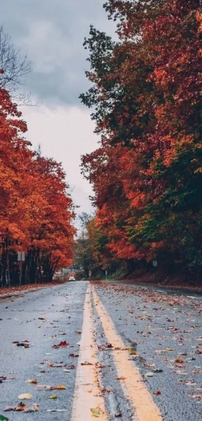 Autumn road lined with vibrant orange leaves.