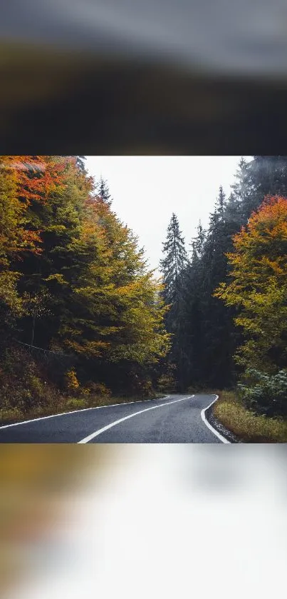 Scenic autumn road with vibrant trees and winding path.