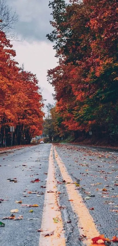 Autumn road flanked by vivid orange and red leaves.