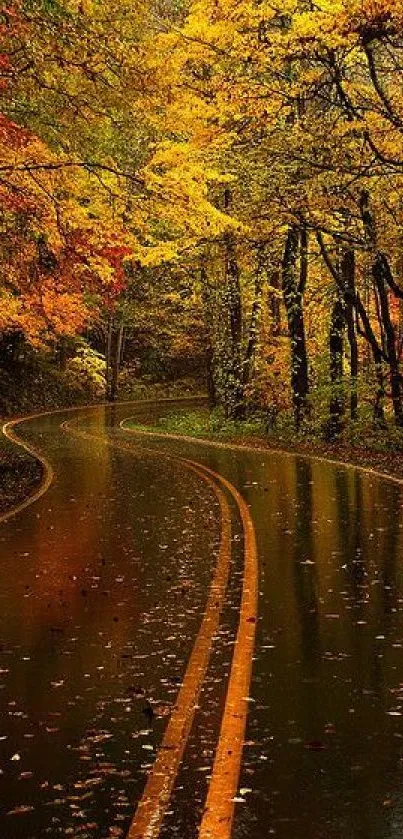 Winding autumn road with vibrant orange foliage.