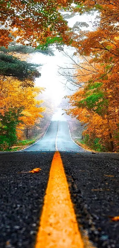 A scenic autumn road with vibrant orange foliage, perfect as a mobile wallpaper.