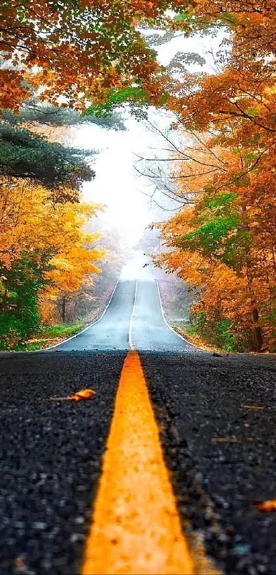 Scenic autumn road with vibrant fall leaves on either side.