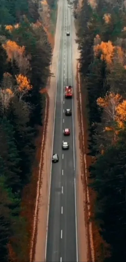 Aerial view of road through autumn forest with colorful trees.