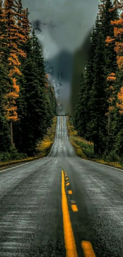 Autumn road with pine trees and orange leaves in a tranquil setting.