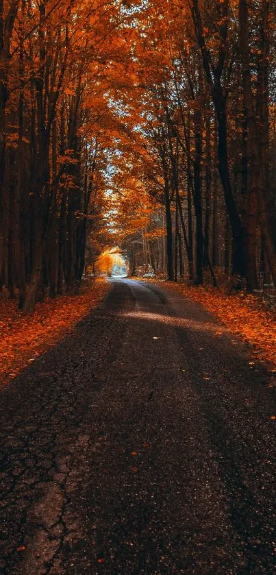 Autumn road surrounded by golden leaves.