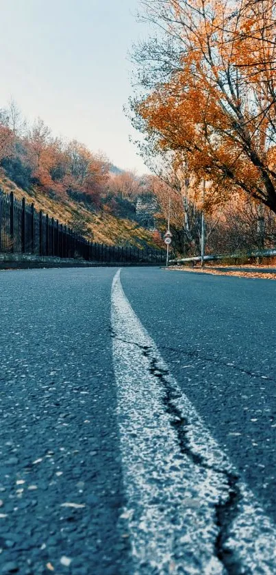 Scenic autumn road with trees and blue sky in a mobile wallpaper.