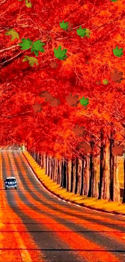 Autumn road with vibrant red trees lining the path.