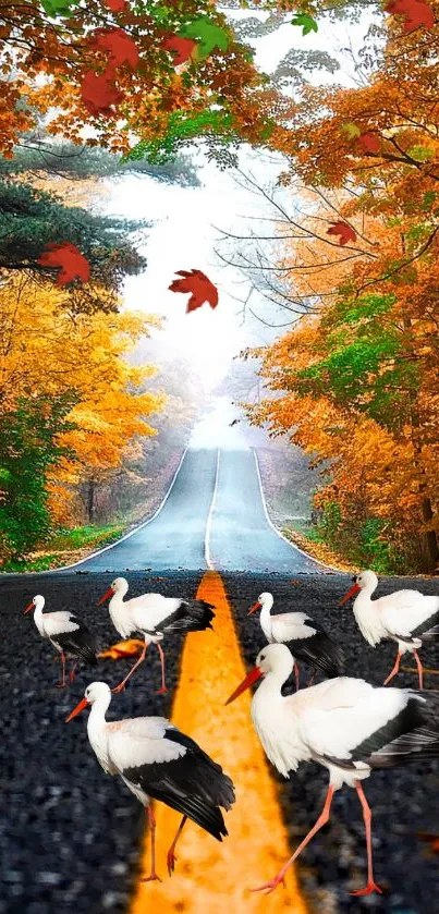 Autumn road with storks and colorful leaves.