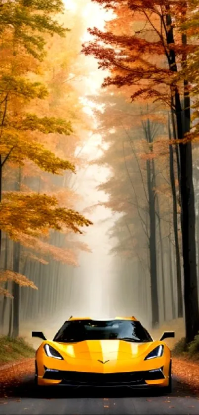Yellow sports car on autumn forest road with vibrant leaves.