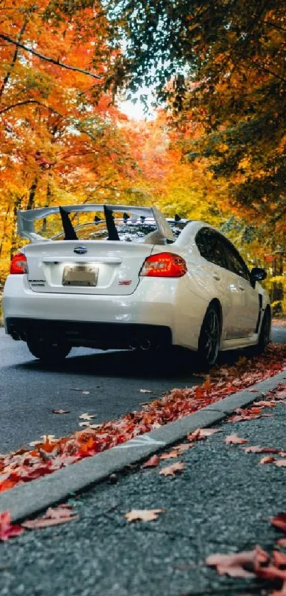 White car on autumn road with vibrant orange foliage.