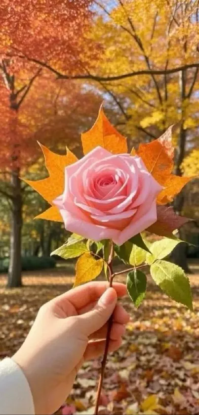 Hand holding a pink rose framed by autumn leaves in a sunlit forest.