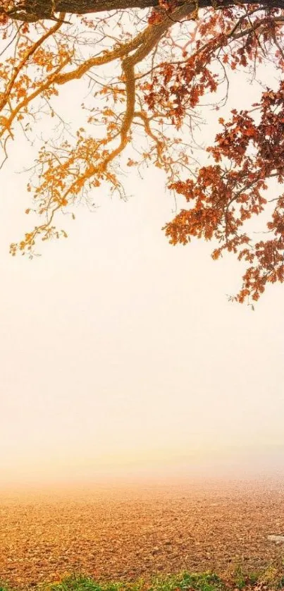 Serene autumn landscape with a bench and golden leaves on a misty morning.