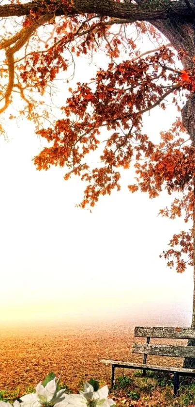 Peaceful autumn scene with tree and bench.