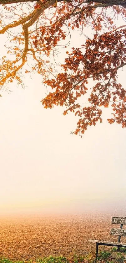 Autumn leaves above a rustic bench on a misty morning.