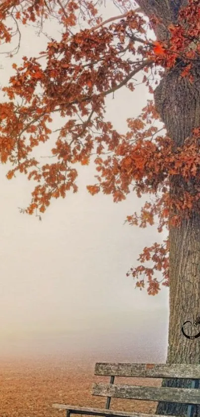 Tranquil autumn scene with tree and bench, featuring red foliage against a misty backdrop.