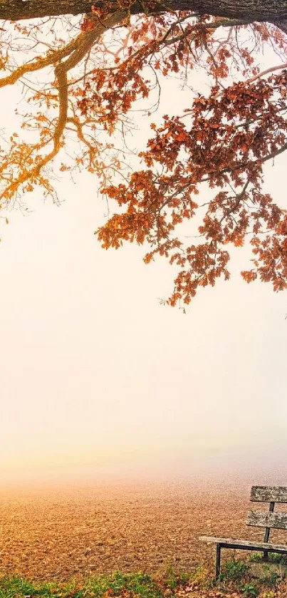 Serene autumn park wallpaper with bench and orange leaves.