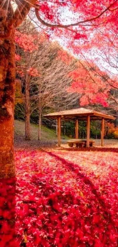 Serene autumn landscape with vibrant red leaves and a wooden gazebo.