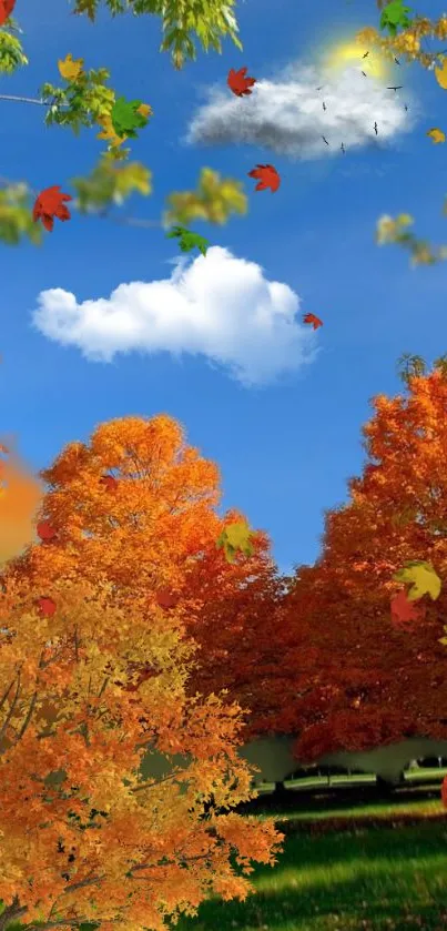 Mobile wallpaper of blue sky with autumn leaves and orange trees.