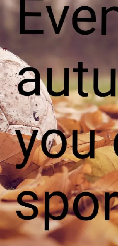 Vintage soccer ball in autumn leaves on field.
