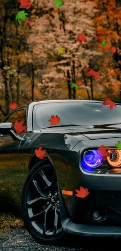 Black sports car in autumn forest scene.