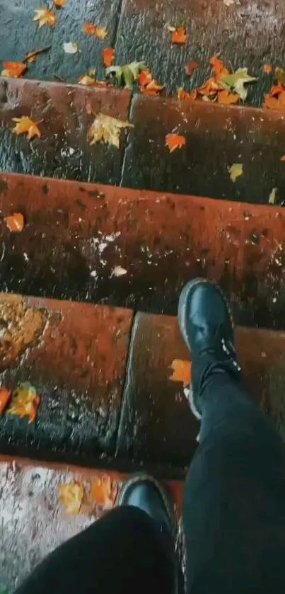 Person walking on wet stone steps with autumn leaves.