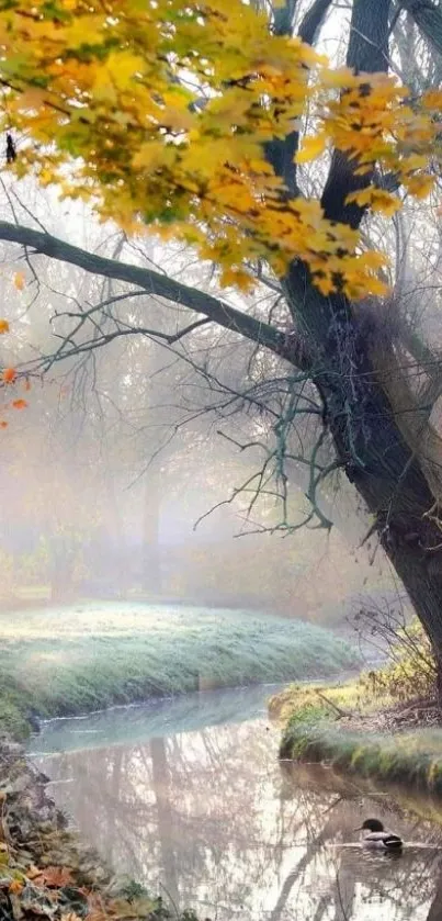 Tranquil autumn stream with colorful leaves and serene natural scenery.