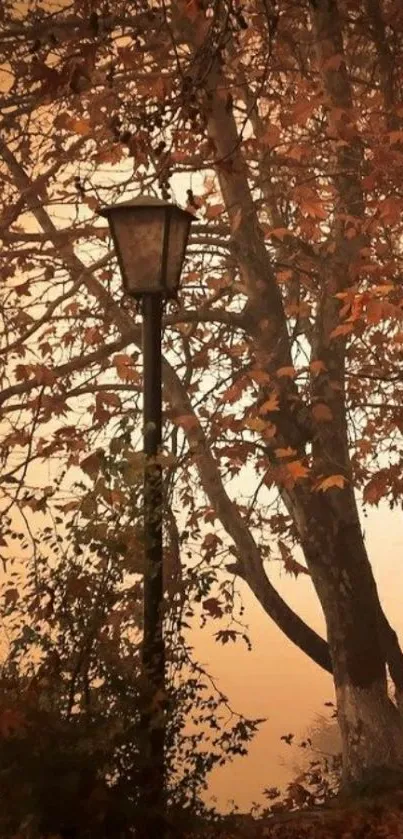 Mobile wallpaper featuring an autumn street lamp with orange foliage.