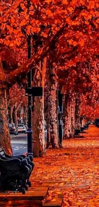 Vibrant street scene with orange autumn leaves and a bench.