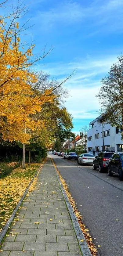 A tranquil street with autumn leaves and blue sky, perfect for a mobile wallpaper.