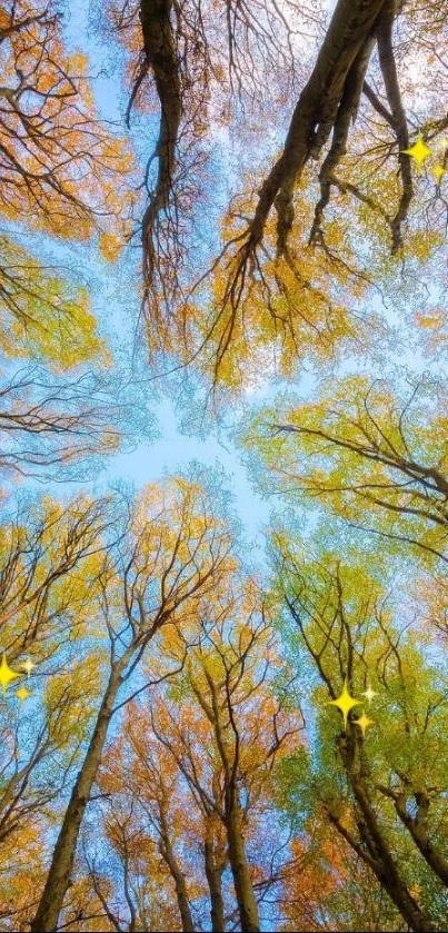 Autumn tree canopy with bright sky and vibrant leaves.