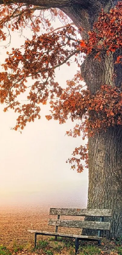 Serene autumn tree with rustic bench.