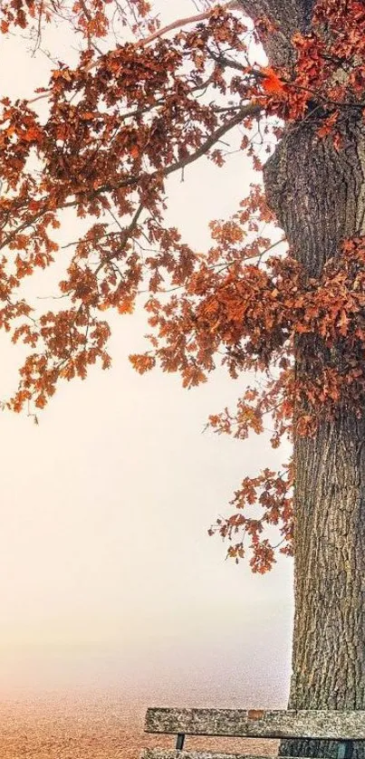 Majestic tree with orange leaves in a misty fall scene, enhancing serenity.