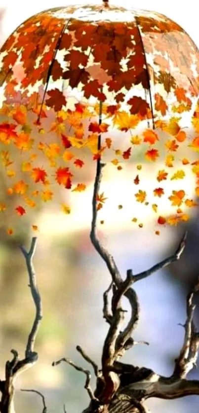 Artistic autumn umbrella with colorful leaves.