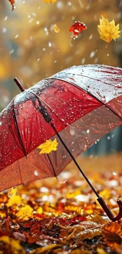 Red umbrella with autumn leaves in rain