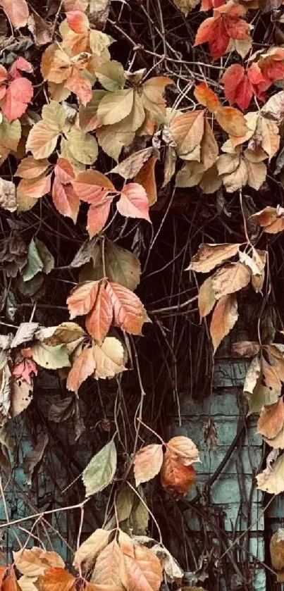 Rustic autumn vines with red and brown leaves on a textured background.